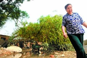 亲历者讲述北京房山暴雨：眼睁睁看着道路变成河